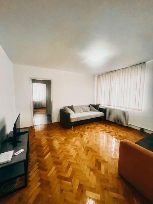 Ultracentral Big Flat Near The Opera Square P17 Timişoara Exterior foto