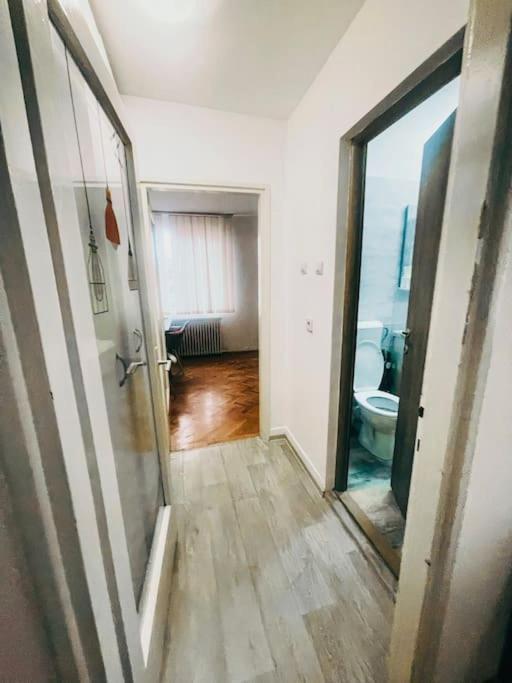 Ultracentral Big Flat Near The Opera Square P17 Timişoara Exterior foto