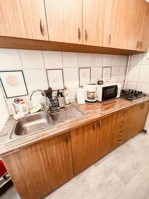 Ultracentral Big Flat Near The Opera Square P17 Timişoara Exterior foto