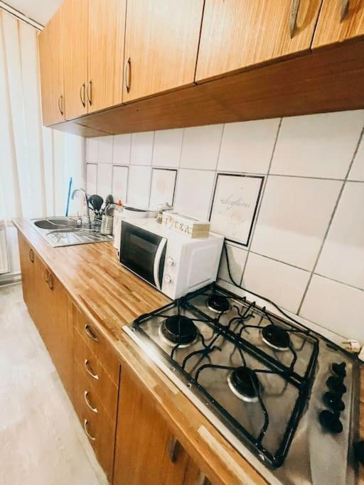 Ultracentral Big Flat Near The Opera Square P17 Timişoara Exterior foto